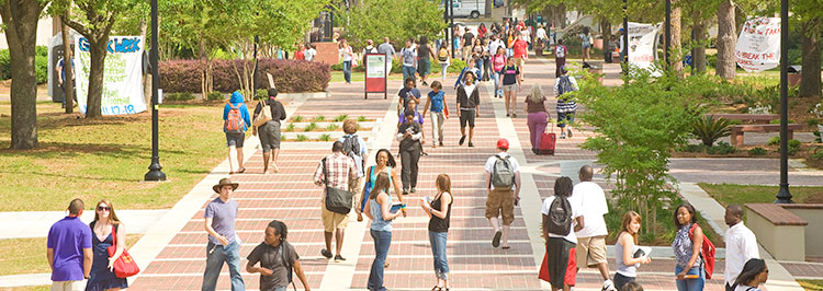 Students on Walkway