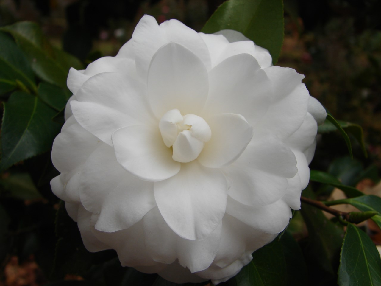 thumbnail_alba-plena-ctt-stop-5-1.jpg